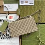 Gucci Dionysus Small Shoulder Bag Beige And Ebony 25Cm 499623 92TJN 8660 - Image 13