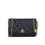 Chanel Classic Wallet On Chain Black 19Cm